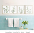 Botanical Plant Canvas Wall Art Framed Set of 4