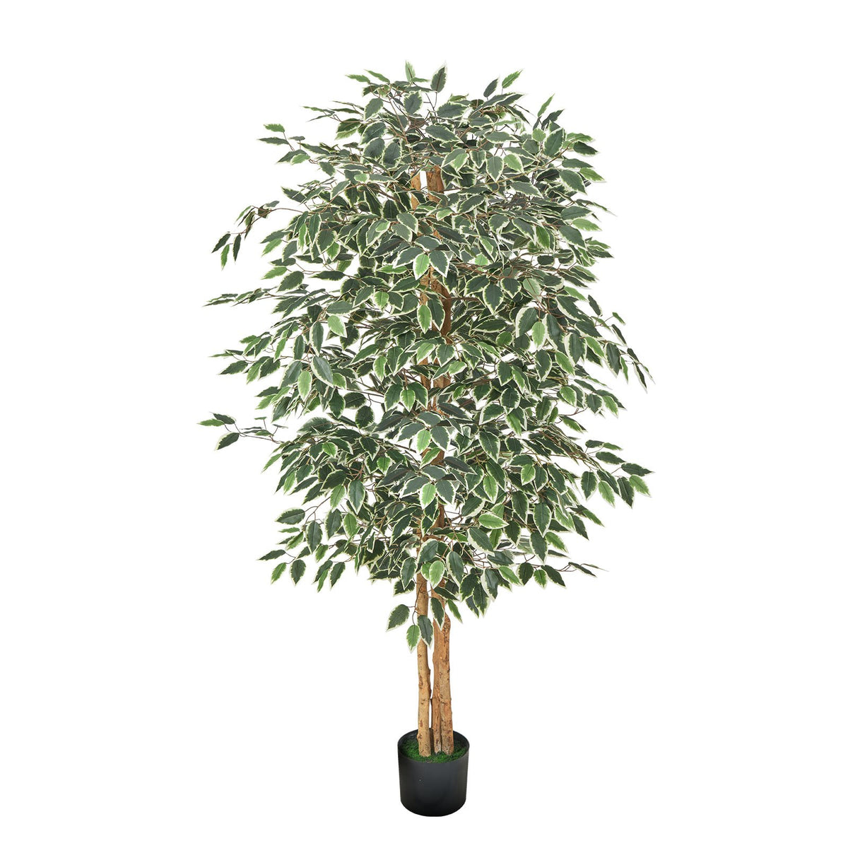 Artificial Ficus Tree, 6 ft, With Black Pot