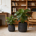 Large Round Planters Set Of 2 16.14x15.75 & 11.8 X11.42 - Lightweight Magnesium Oxide Plant Pot With Texture - Concrete Planter Pots With Drainage Hole - Indoor & Outdoor Use