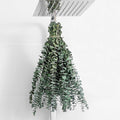 10 Pcs 17 Inch Dried Eucalyptus Stems Real Eucalyptus Branches For Shower Hanging Home Decor