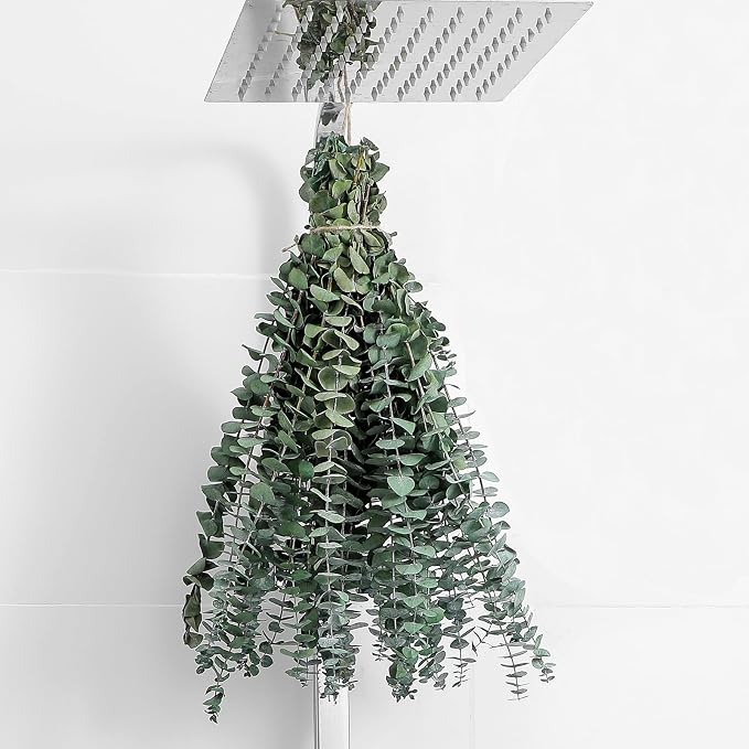 10 Pcs 17 Inch Dried Eucalyptus Stems Real Eucalyptus Branches For Shower Hanging Home Decor