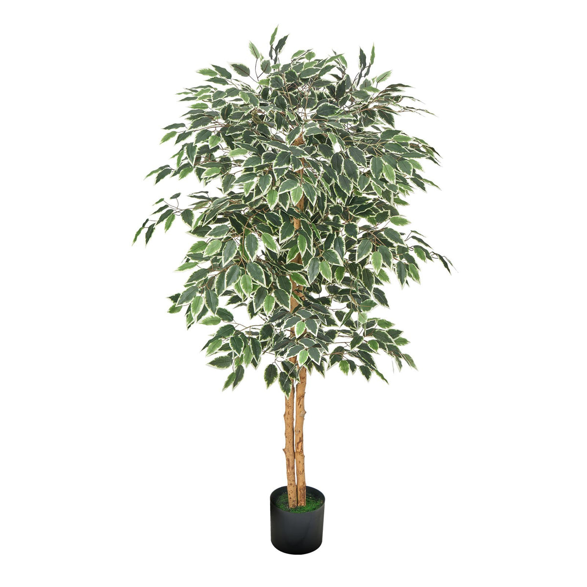 Artificial Ficus Tree, 5 ft, With Black Pot