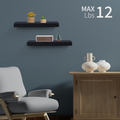 Floating Wall Shelves, 14.96 in, Black