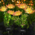 Solar Garden Flower Lights 4 Pack Yard Decor