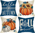 Hello Autumn Pumpkin Throw Pillow Covers, 18 x 18 in, Set of 4